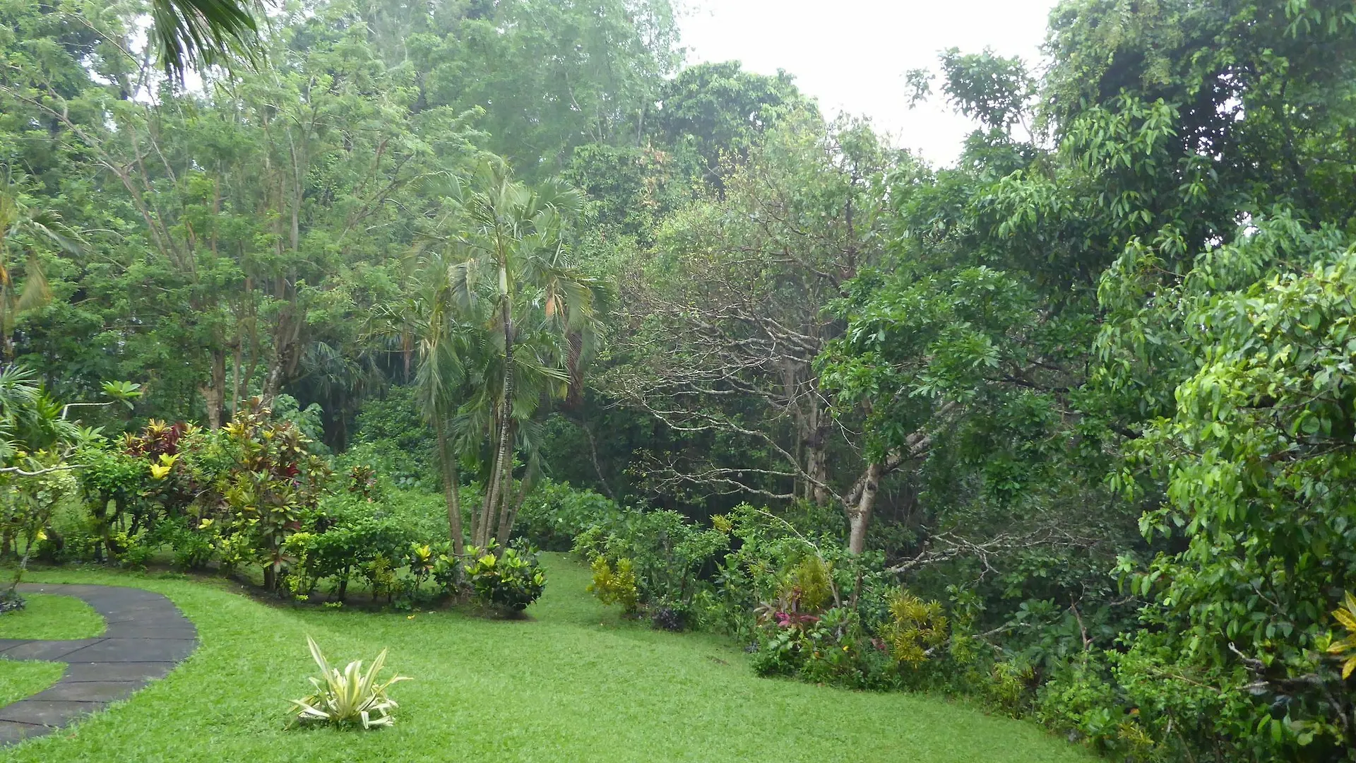Pensión Wenara Bali Bungalows Ubud